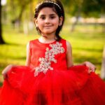 Red Rose Beautiful Ruffle Dress